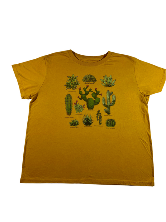 Cactus Classification
